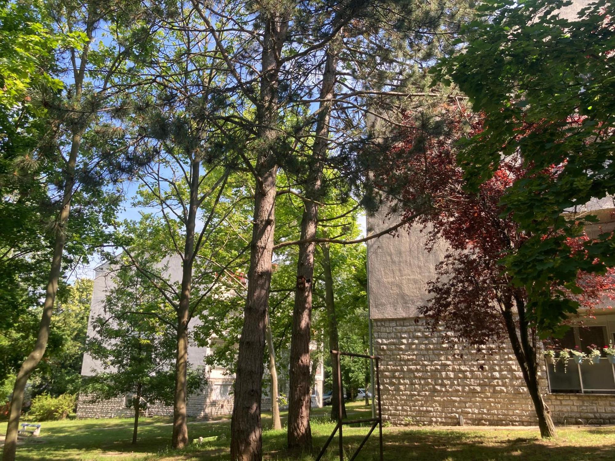 Oazis Apartman Veszprem Bagian luar foto